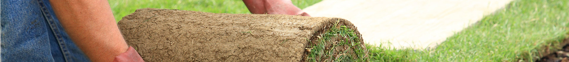 professional_landscaping_banner.jpg
