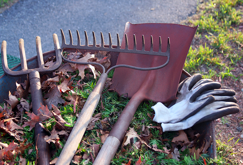 Spring-Cleaning-Tips-for-Your-Yard