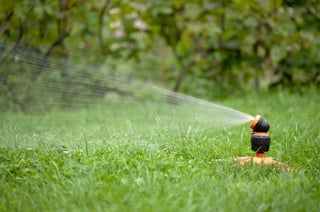 devoted gardener