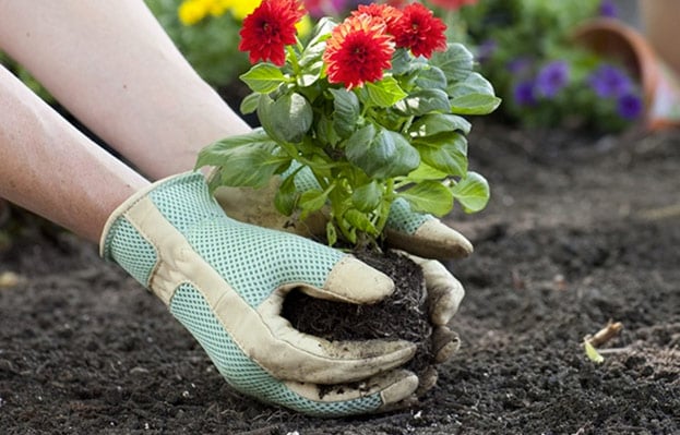 home-garden-m