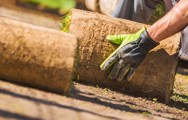 landscaping-m