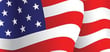 u.s. flag