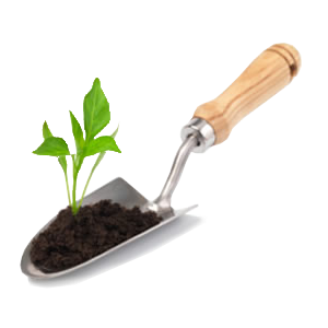 home garden design