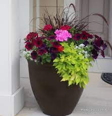 Thrill, Spill and Fill! How to make beautiful planters.