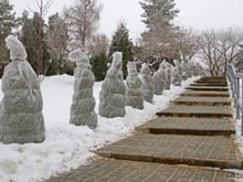protection-of-bushes-from-frost-400x300