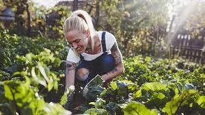 summer gardening