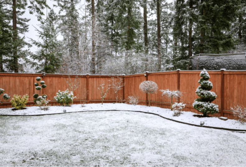 winter-yard-preparation-1