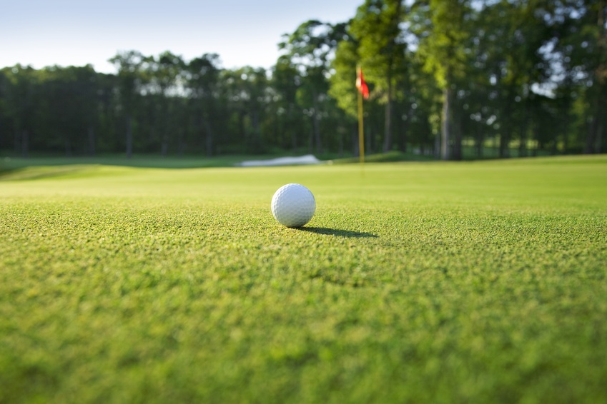 5 Essential Golf Course Care Conditions