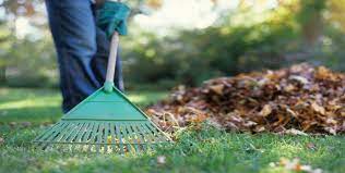 YARD CLEAN UP