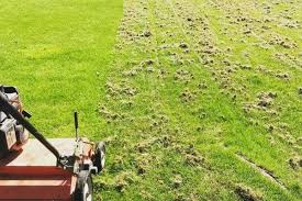 aerate and dethatch