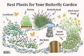 butterfly garden