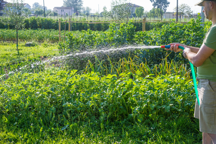 commercial garden hose-1