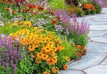 flowers-1