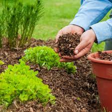 mulching